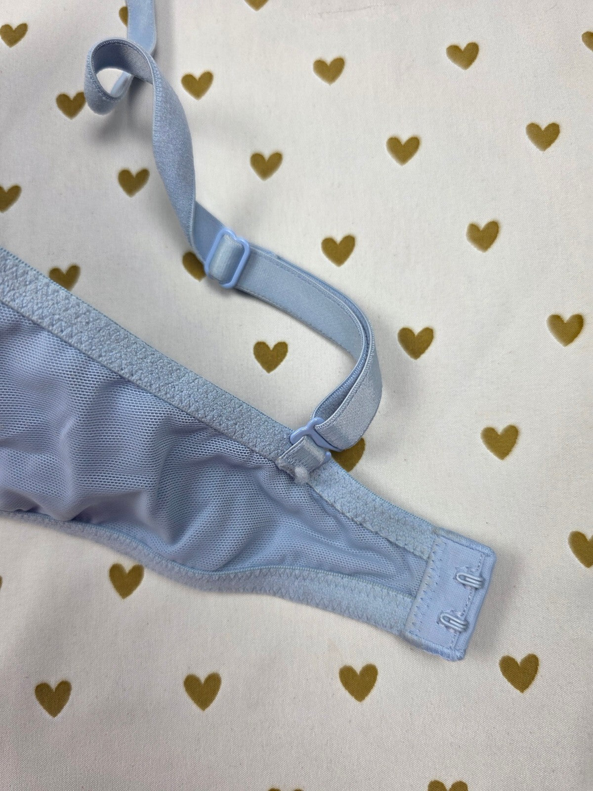 Victorias Secret Pink Blue 34DD Wear Everywhere Push Up Bra